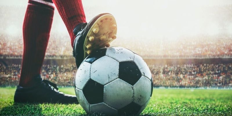 Tìm hiểu phương thức bào cỏ theo kèo chấp nhỏ